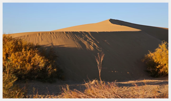the tallest sand dunes in the world 