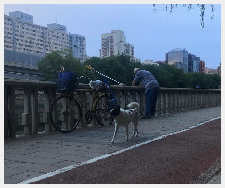 Early morning at the city moat trail