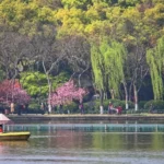 The Spring of the West Lake