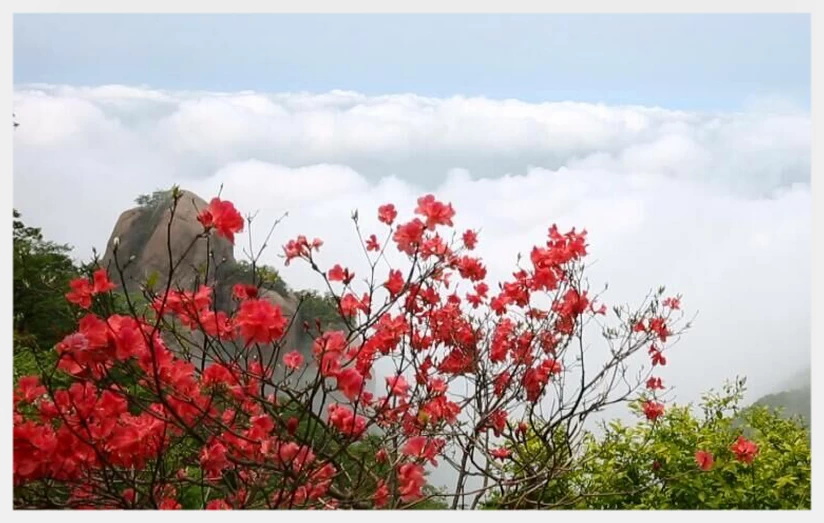 10 Tips on How to Plan a Trip to Mount Jiuhua