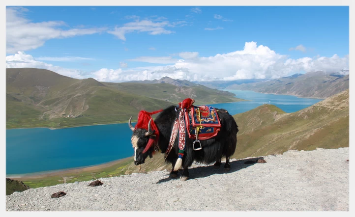 Yamdrok Lake (Tibet)