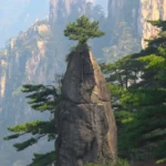 A Flower on the Brush Tip Huangshan