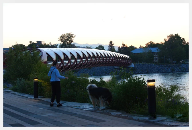 和平桥跨愽河（Bow River）连接清水公园和愽河北面的城区