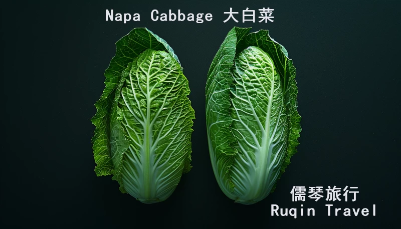 Napa Cabbage 大白菜 中文