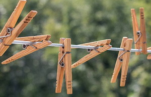 clothespin vote