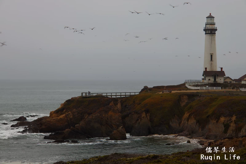 鸽子角灯塔(Pigeon Point Light Station) 