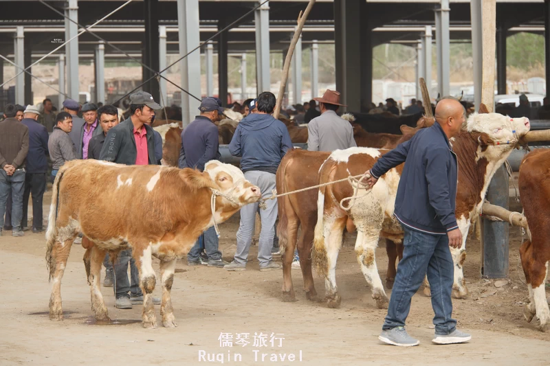 Sunday Livestock Market in Kashi