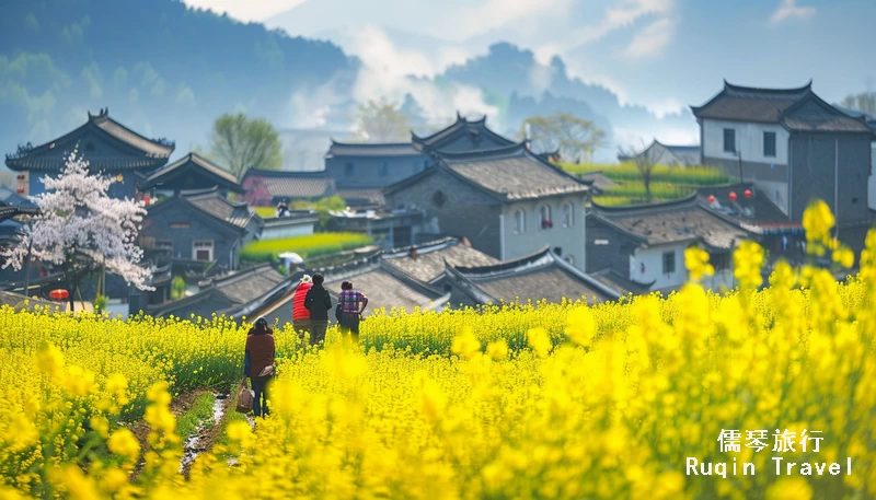 view the rapeseed flowers in Wuyuan
