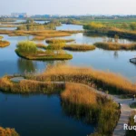 Top Wetland Parks in Beijing