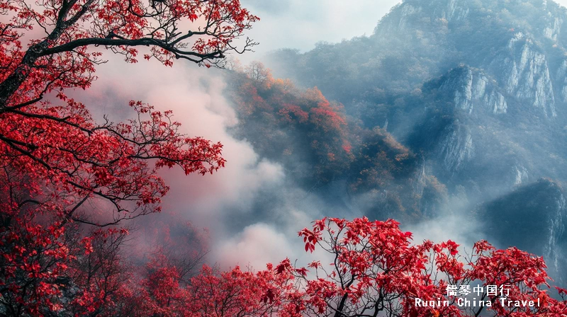 秋色的北京香山