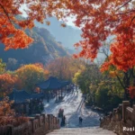 Beijing Fragrant Hills - Hidden gem photo spot