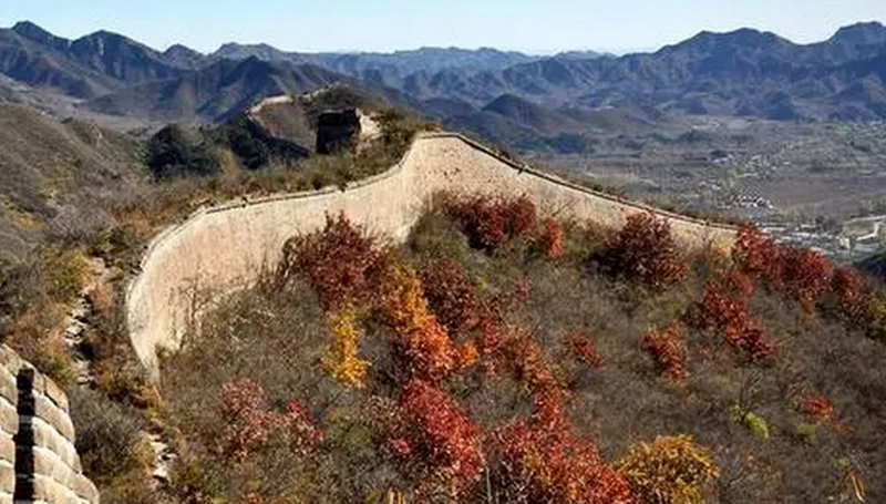 Zhuangdaokou Great Wall in Autumn