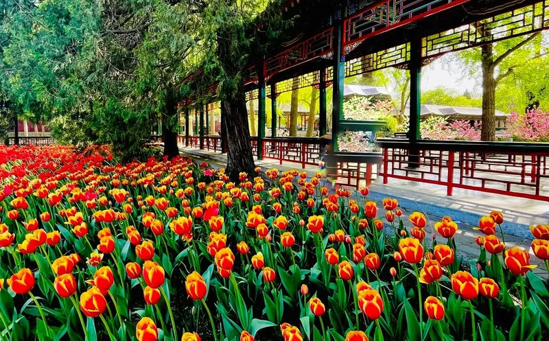 Zhongshan Park,