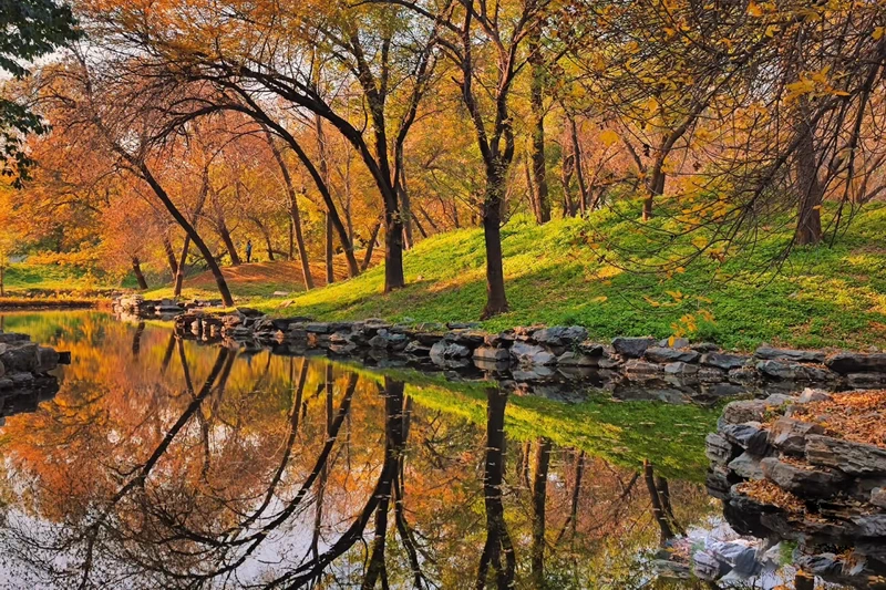 Autumn Leaves at Yuanmingyuan Park in Beijing