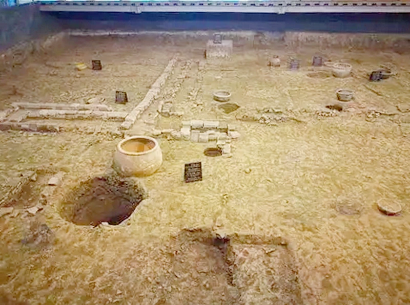 Tang Dynasty Ruins Exhibition Hall（唐代遗址陈列馆）