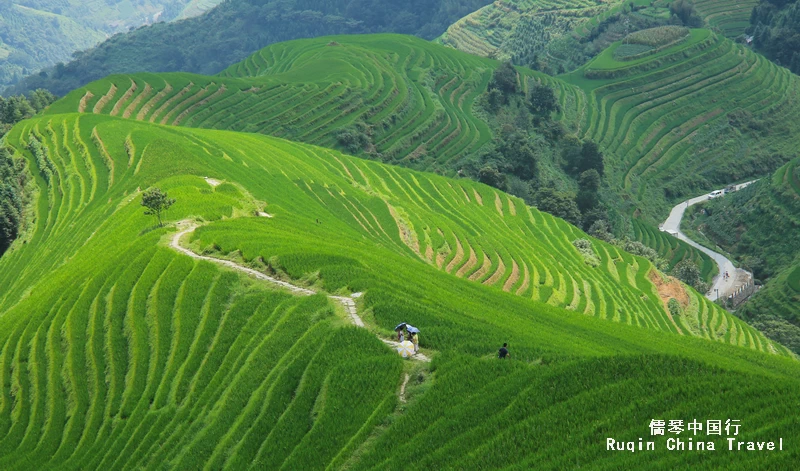 Longji Terraces in Guilin