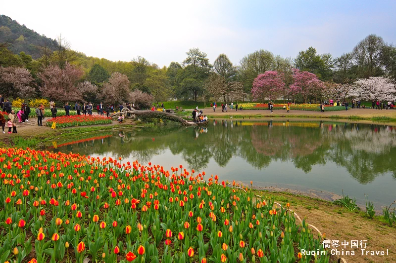 Hangzhou in Spring