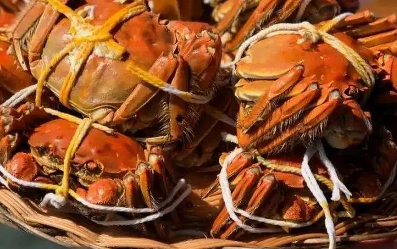 Hairy Crab - A Seasonal Delicacy in Shanghai