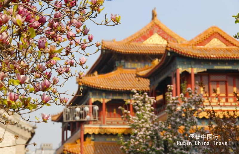 The Lama Temple with the vibrant sight of magnolias