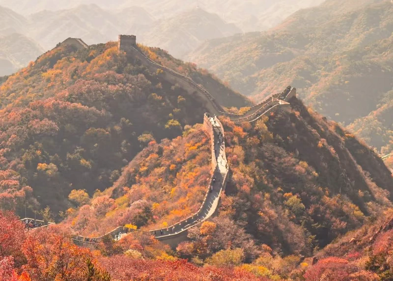 Great Wall of China in fall colours