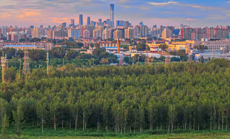 The Beijing Skyline seen from the Observation Deck at  Nanyuan Forest Wetland Park