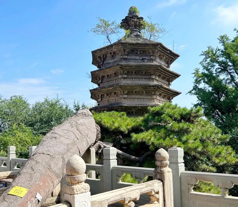 The Liao Dynasty Pagoda and famous pine trees in JIetai Temple