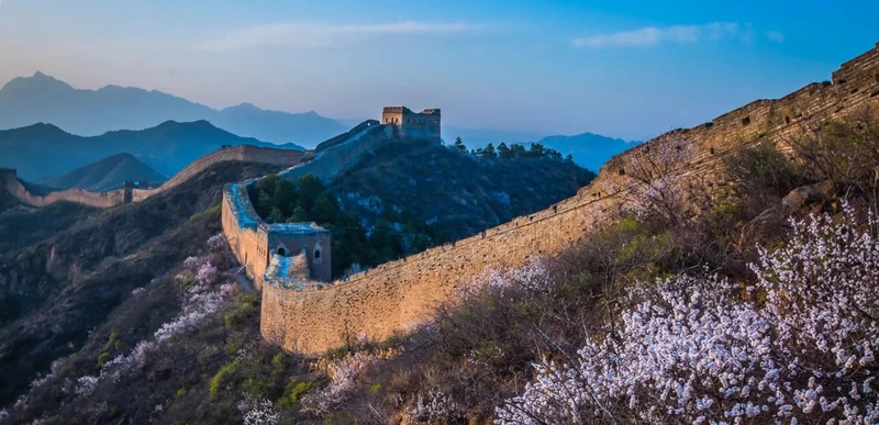 Spring Flowers at the Great Wall of China