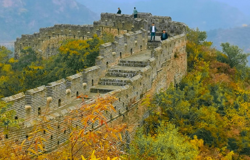 Jinshanling Great Wall Autumn Leaves