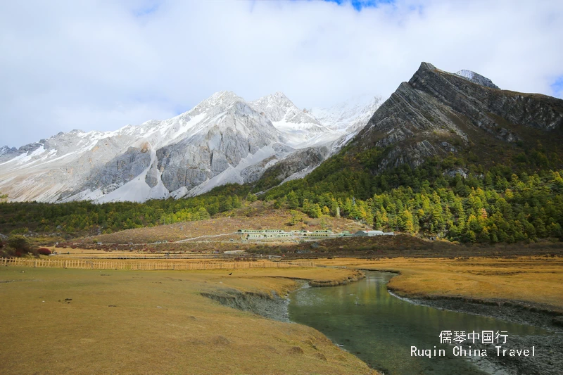 Luorong Grassland looks fresh and colorful with the frost melted in Yading