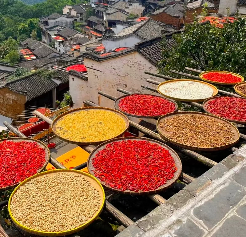 Autumn Sun-Drying (晒秋) in Wuyuan