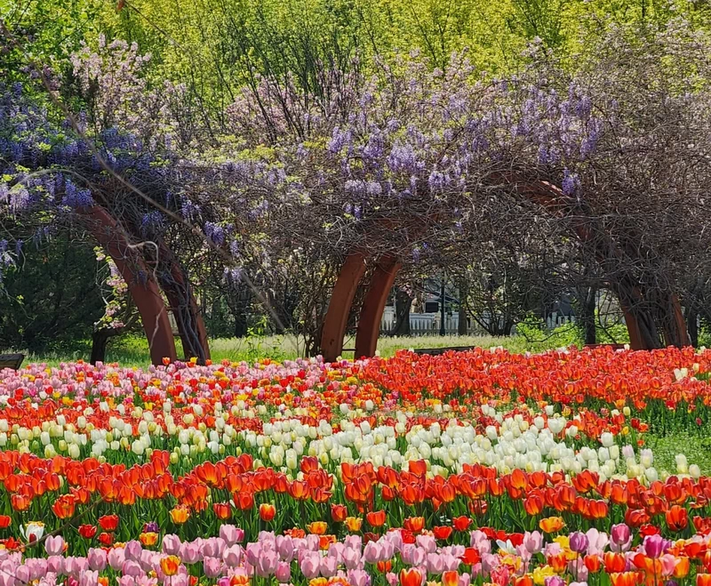 Shunyi Flower Port