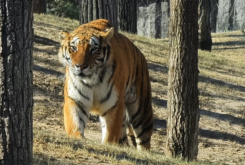 Beijing Wildlife Park in Daxing