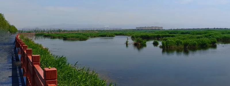 Nanhai Wetland Park in Baotou