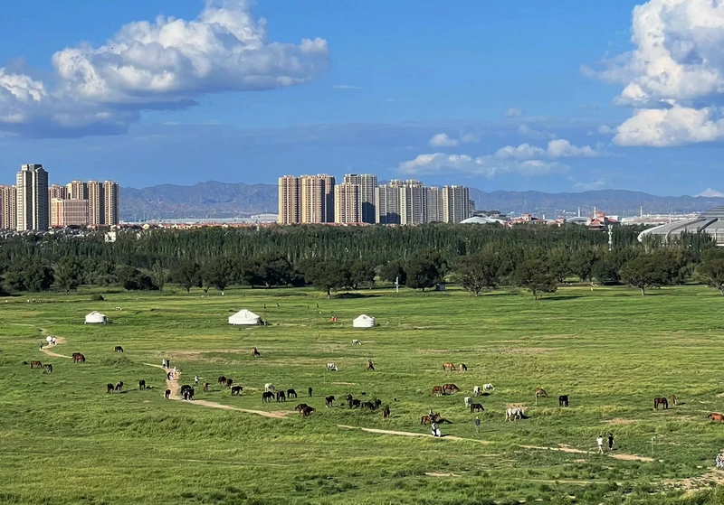 Saihantala Urban Grassland In Baotou