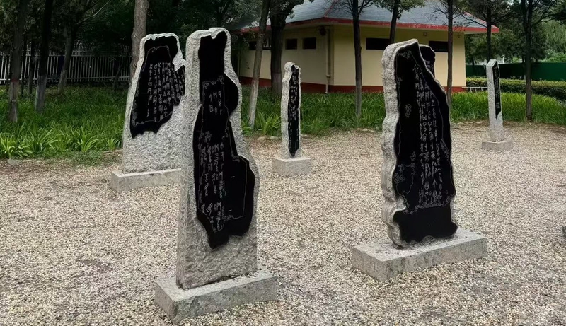 the Oracle Bone Forest at Yinxu