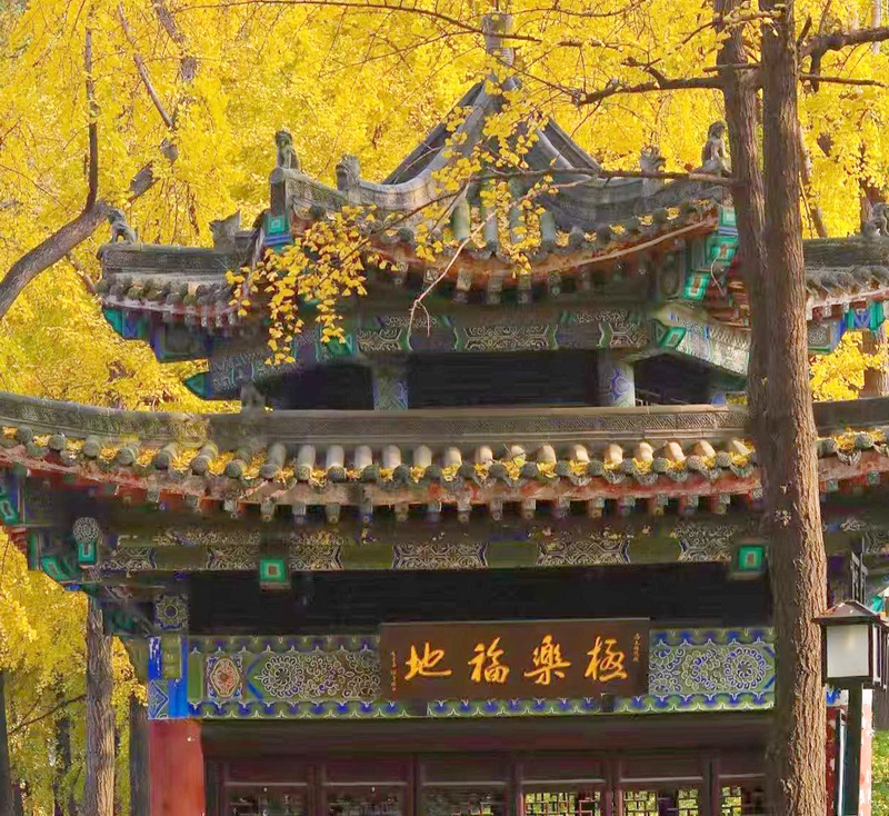 Wenshu Monastery 文殊院 free entry in Chengdu