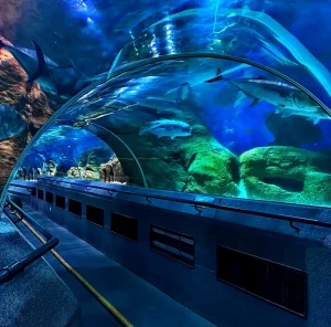 Sun Asia Ocean World Tickets booking in Dalian
