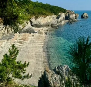 How to reserve the tickets for Jinshitan National Tourist Resort in Dalian