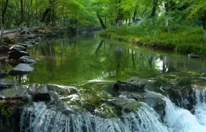 Jiuxi 18 Stream in Hangzhou