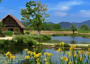 How to book tickets for Archaeological Ruins of Liangzhu City in Hangzhou
