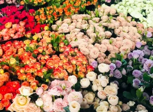 Dounan Flower Market in Kunming free entry