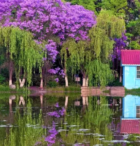 Baohai Wetland Park free in Kunming