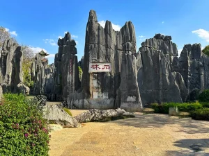 How to book tickets for Stone forest in Kunming