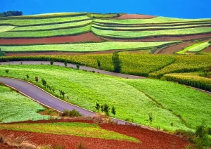 Buy Dongchuan Red Land entry tickets on the spot in Kunming