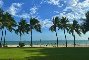 Coconut Dream Corridor at Sanya Bay