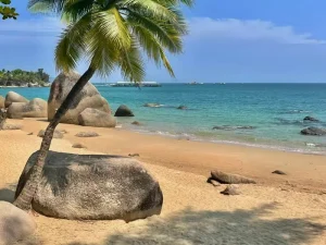 how to book Tianya Haijiao Scenic Area in Sanya