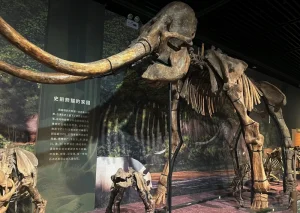 Shenzhen Museum 深圳博物馆