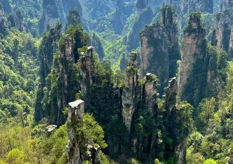 6 Common Mistakes to Avoid on Your First Trip to Zhangjiajie