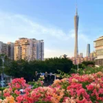 Best Guangzhou Tour