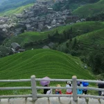 Longji Rice Terraces Day Trip from Guilin